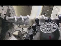 쌍 나사 추출기 원자